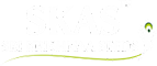 Sri Krishnaa Seeds